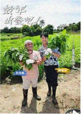 银河好声音